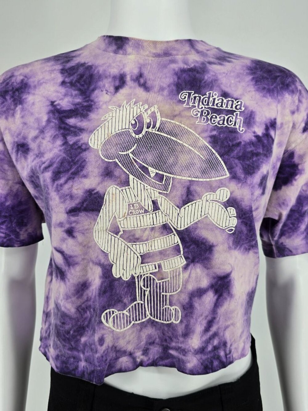 Vintage 1990s Sherry's Best Indiana Beach IB Crow Tie-Dye Crop T-Shirt (OS/L/XL)
